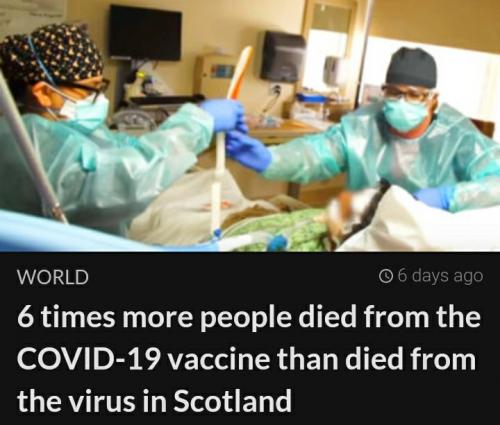 Screenshot_20210620-235448_The BL