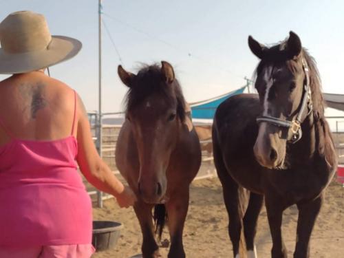 received_3996744057040239