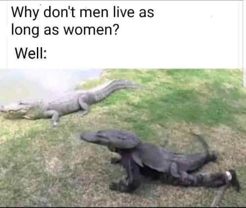 FB_IMG_1623886238399