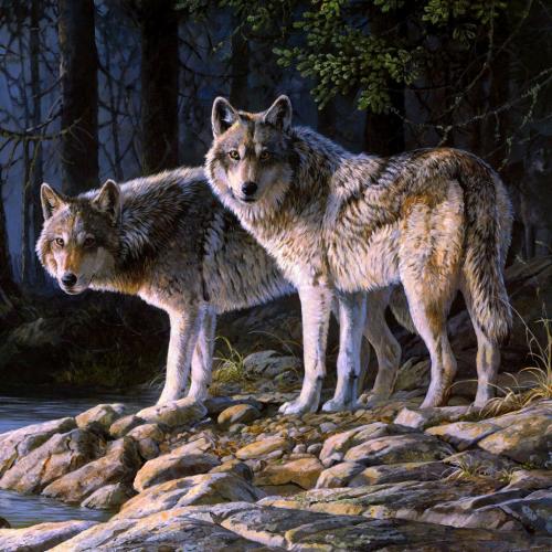 192739877_330168482010518_2593744472287864822_n