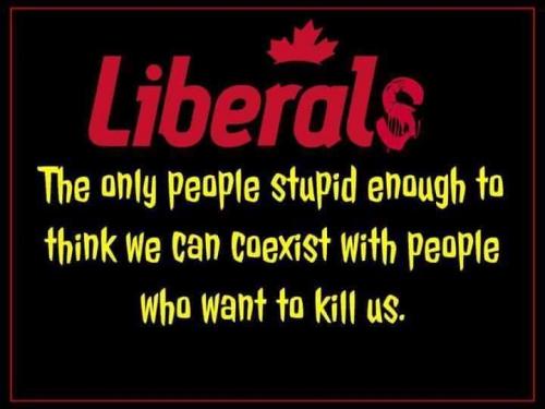 17424946_1550275165000957_3270448346426208114_n