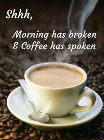 83000466_10218454367044049_9034194756283924480_n