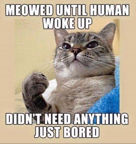 19:13:14 GMT-0500 (CDT)