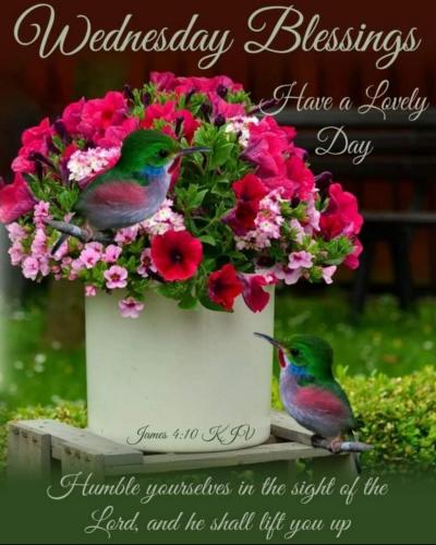 Screenshot_20210623-064750_Gallery