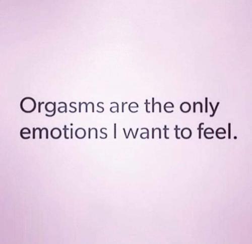 FB_IMG_1624827906805