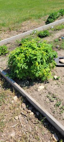 11:17:50 GMT-0500 (CDT)