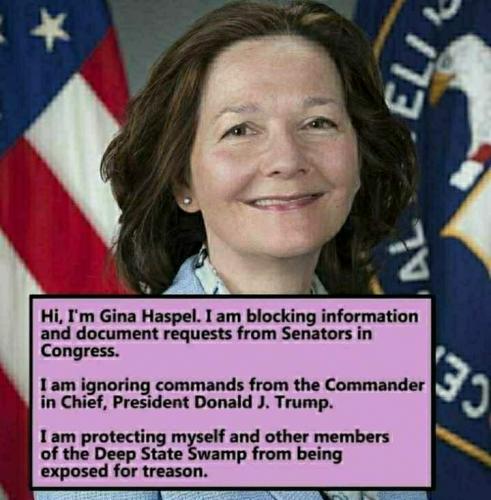 ersZmL9ncrFxq28gWcTY_07_00d8b440001df8ebbcd812763df7437c_image