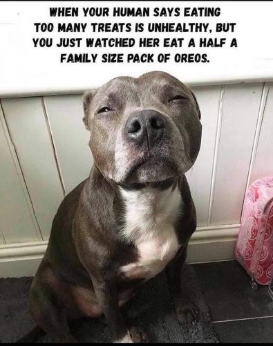 20:19:33 GMT-0400 (EDT)