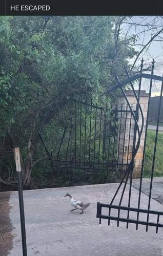 21:11:15 GMT-0500 (CDT)