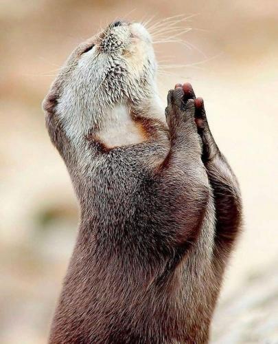 198393940_347368390100174_5317572703274407650_n