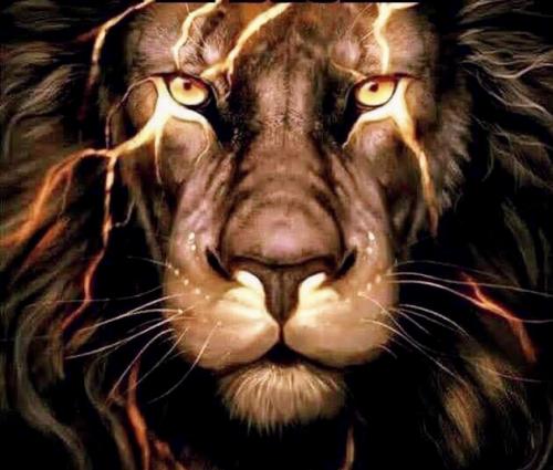 C8EE1E53-BF55-44FC-BEB1-55D6D79AB215