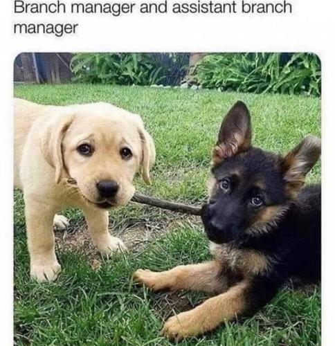 19:57:08 GMT-0400 (EDT)