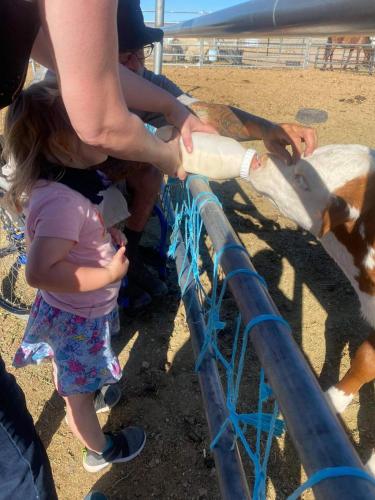 received_235991194619450