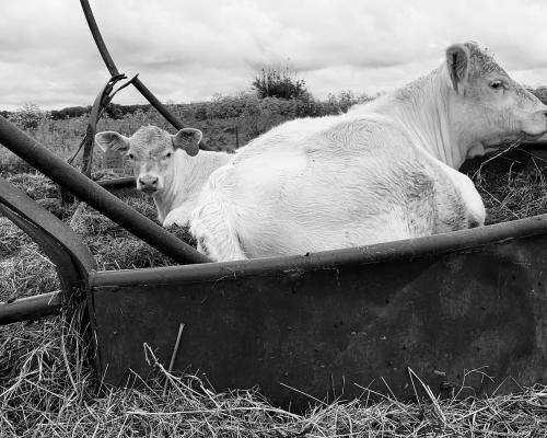 E7B9F642-4B24-4140-9A26-C764CAEF014D