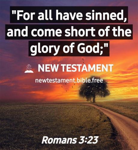 Screenshot_20210609-185234_New Testament Bible free