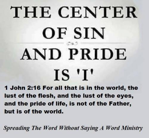 196808672_3980485755383859_5799213979482609887_n