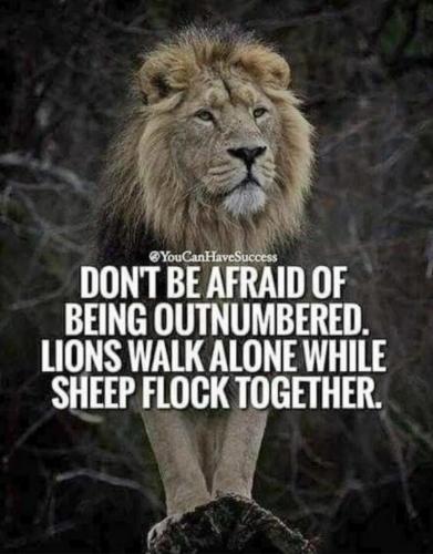 22:38:06 GMT-0700 (PDT).image