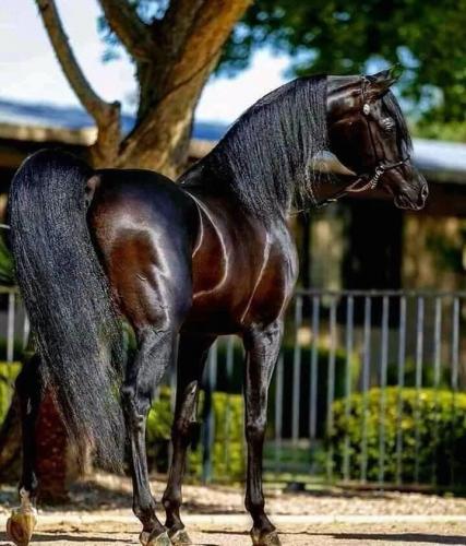 131284121_4169838933098660_5990318752973067854_n