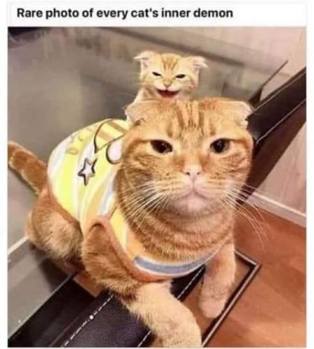 FB_IMG_1624083268770