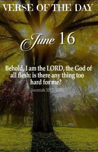 Screenshot_20210616-020207_Gallery