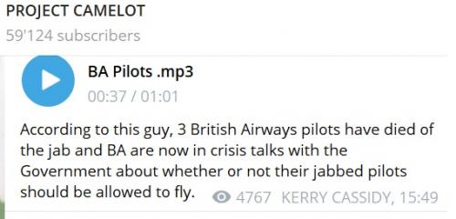 BA Pilots