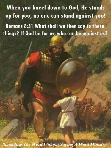 578aee80057ce47f8c230042b7e21012