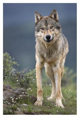 10:06:40 GMT-0500 (CDT)