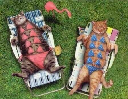 07:45:43 GMT-0600 (MDT).image