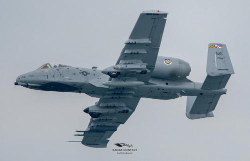 206196716_1428639257491706_2529376639646955613_n