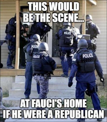 fauci73
