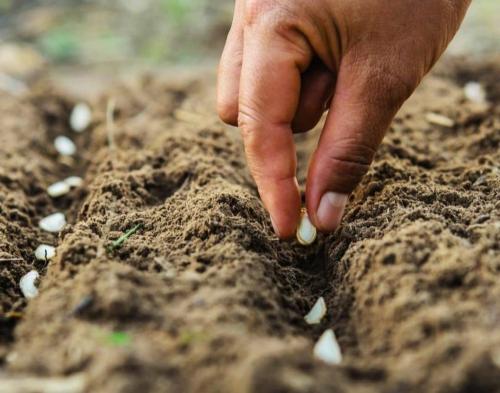 17:04:52 GMT-0500 (CDT)