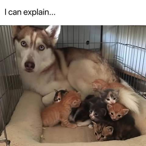 19:16:31 GMT-0700 (PDT)