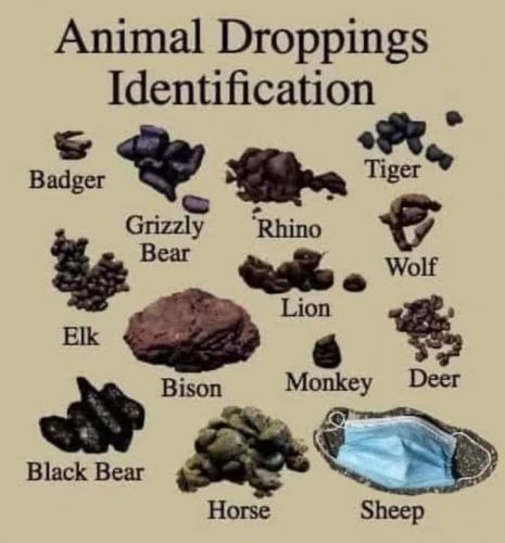 23:46:55 GMT-0400 (EDT).image