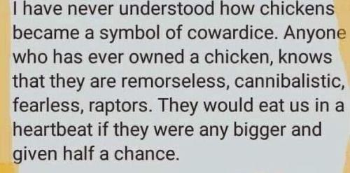 17:18:37 GMT-0500 (CDT)