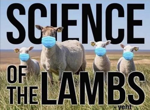 05:48:59 GMT-0500 (CDT).image