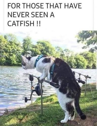 12:16:30 GMT-0400 (EDT).image