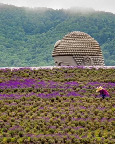 196297027_337191321110210_3255344090620436804_n