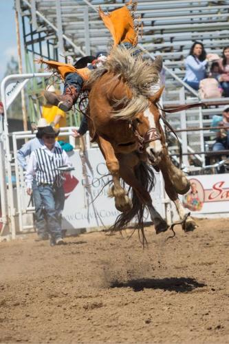 194444509_3962157970548787_8268869115162422842_n