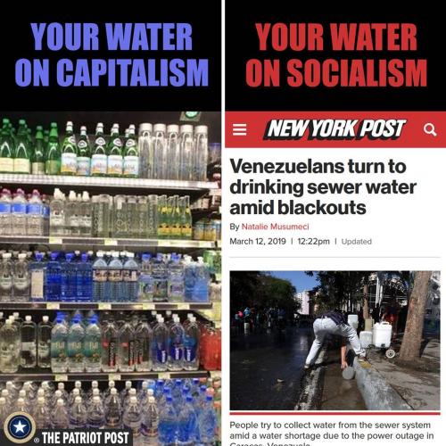 54278069_10156268323655914_2343607982337556480_n