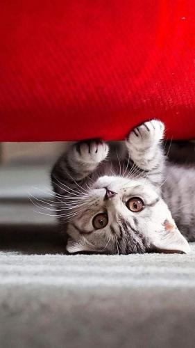 FB_IMG_1624457743645