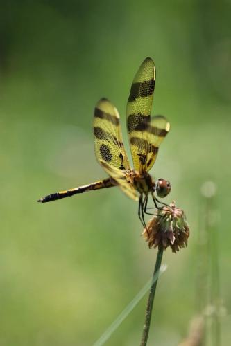 201178273_2880606758859538_4555146863899699091_n