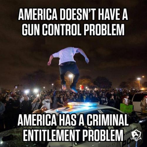 america doesnt have a gun control problem