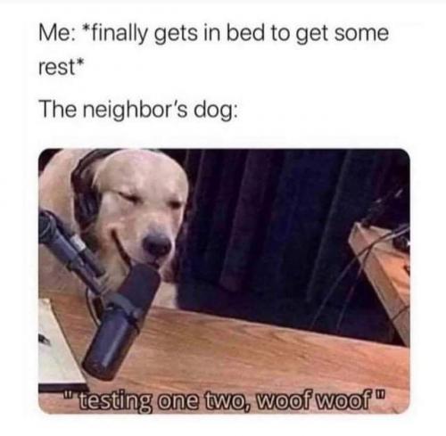 12:44:36 GMT-0500 (CDT)