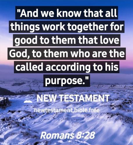 Screenshot_20210610-185540_New Testament Bible free