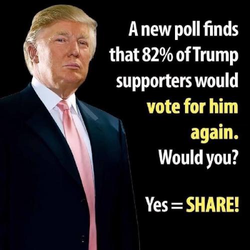 New poll