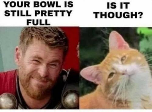 12:25:13 GMT-0500 (CDT)