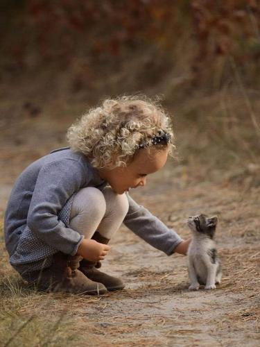 03:18:41 GMT-0500 (CDT)