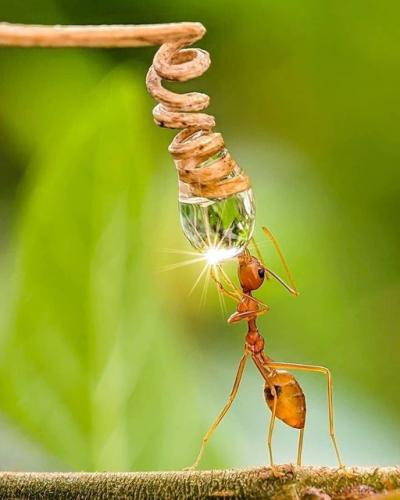 204070303_357457715757908_8979690111010110351_n