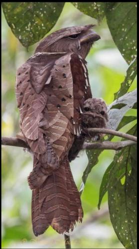 18:59:56 GMT-0500 (CDT)