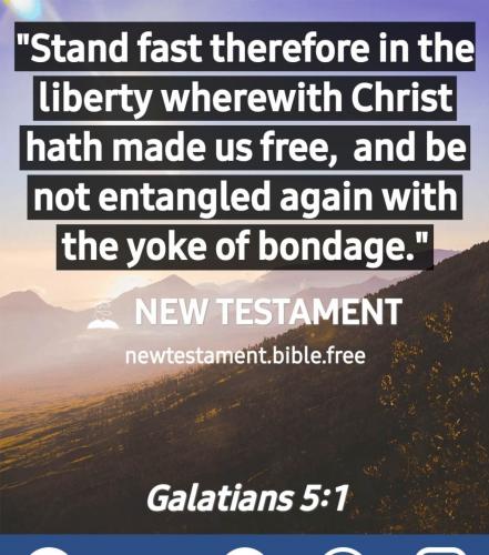 Screenshot_20210613-112846_New Testament Bible free